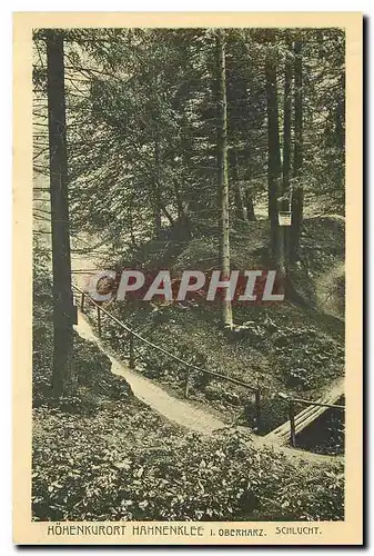 Cartes postales Hohenkurort Hahnenklee i Oberharz Schlucht
