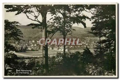 Cartes postales Bad Harzburg Butterberg