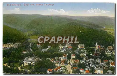 Cartes postales Bad Harzburg Blick vom kleinen Burgberge