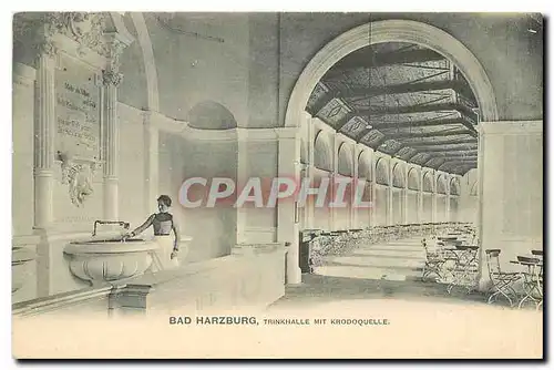 Cartes postales Bad Harzburg Trinkhalle mit Krodoquelle