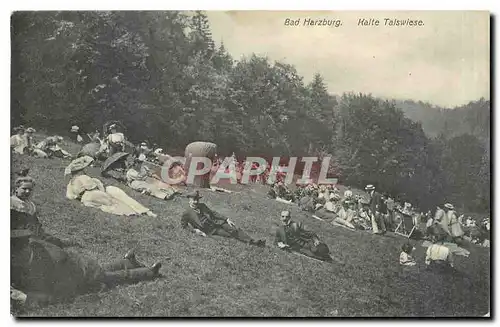 Cartes postales Bad Harzburg Kalte Talswiese