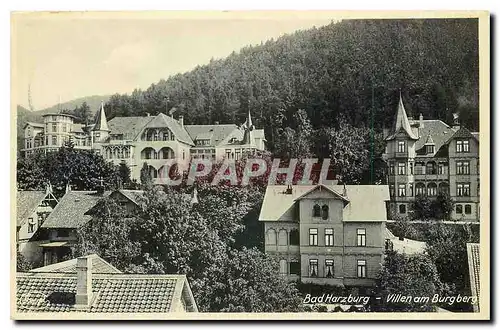 Cartes postales Bad Harzburg Villen am Burgberg