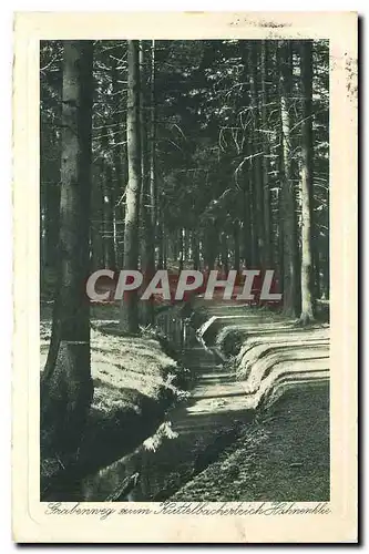 Cartes postales Grabenweg zum Kuttelbacherteich Hahnenklee