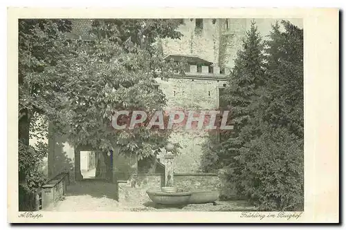 Cartes postales Fruhkling im Burghof