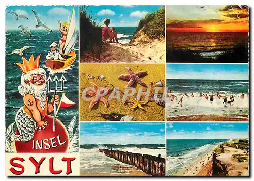 Cartes postales moderne Insel Sylt