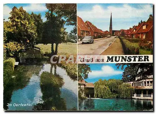 Cartes postales moderne Gruss aus Munster