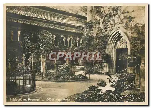 Cartes postales moderne Hildesheim Kreuzgang 1000 Jahrige Rose