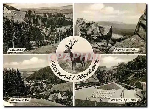 Cartes postales moderne Altenau Oberharz