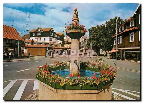 Cartes postales moderne Braunlage im Oberharz Eichhornchen Brunnen