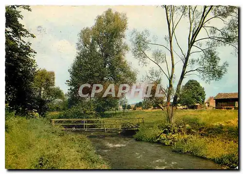 Cartes postales moderne Badenhause Harz Partie an der Sase