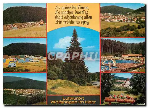 Cartes postales moderne Luftkurort Wolfshagen im Harz