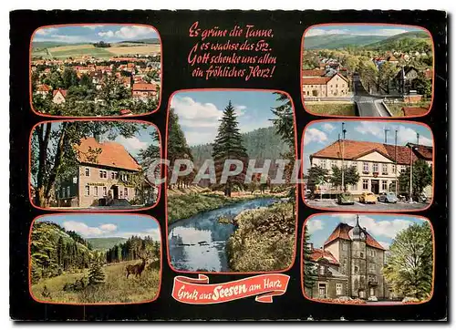 Cartes postales moderne Gruss aus Seesen am Harz