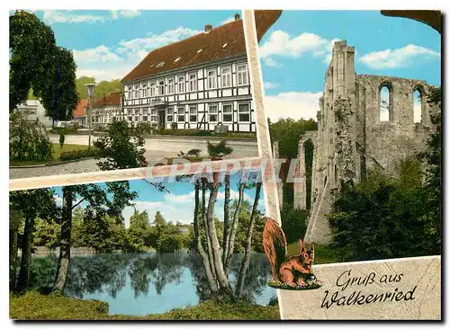 Cartes postales moderne Gruss aus Walkenried