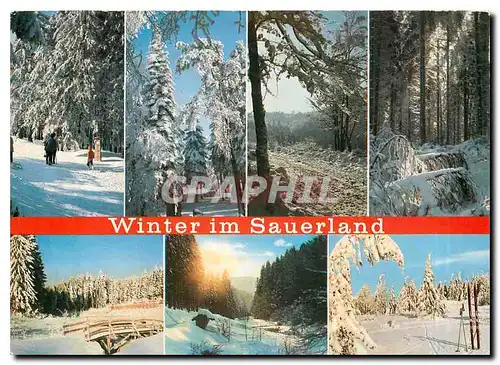 Cartes postales moderne Winterberg im Sauerland