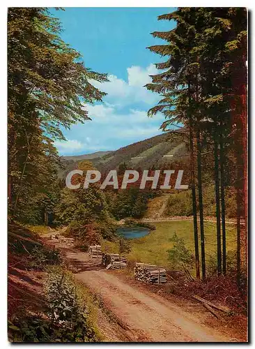 Cartes postales moderne Im Schonen Sauerland