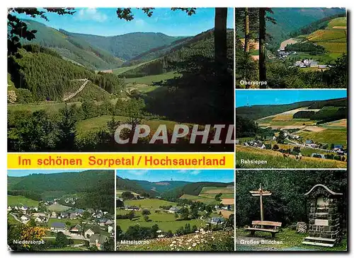 Cartes postales moderne Im Schonen Sorpetal Hochsauerland