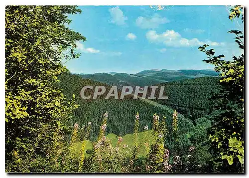 Cartes postales moderne Ruhe und Erholung im Hochsauerland dem Land der tausend Berge