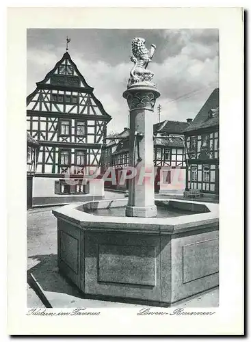 Cartes postales moderne Idstein im Taunus Lowen Brunnen