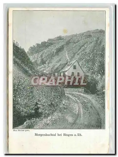 Cartes postales moderne Morgenbachtal bei Bingen a Rh