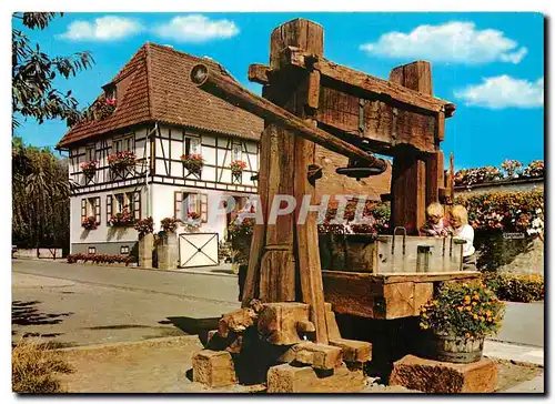 Cartes postales moderne Schweigen Rechtenbach Pfalz an der Deutchen Weinstrasse Weinpresse