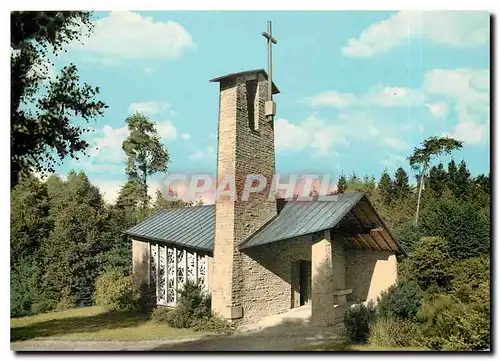 Cartes postales moderne Gasthaus Pension Heinz Braband