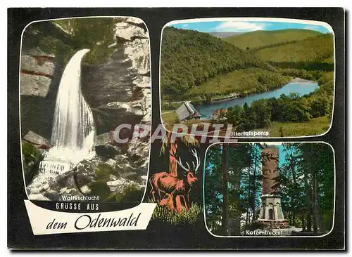 Cartes postales moderne Grusse aus dem Odenwald