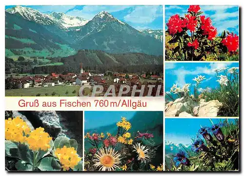 Cartes postales moderne Gruss aus Fischen Allgau