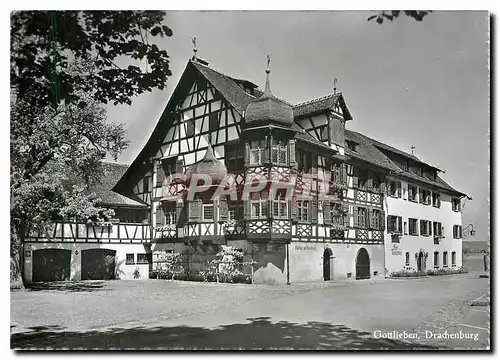 Cartes postales moderne Gottliebeu Drachenburg