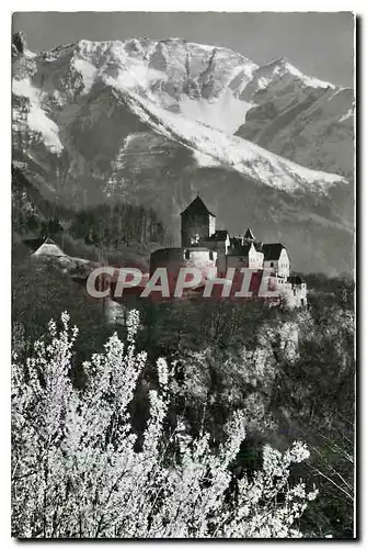 Moderne Karte Schloss Vaduz Furstentum Liechtenstein mit Falknis