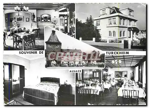 Cartes postales moderne Souvenir de Turckheim