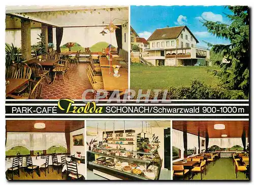 Cartes postales moderne Park Cafe Trolda Schonach Schwarzwald