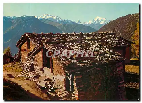 Cartes postales moderne Riederalp Wallis