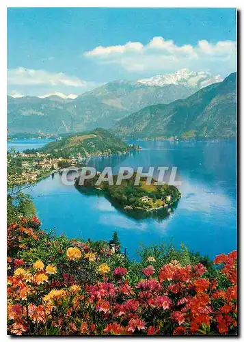 Cartes postales moderne Lac de Como Ile Camacina