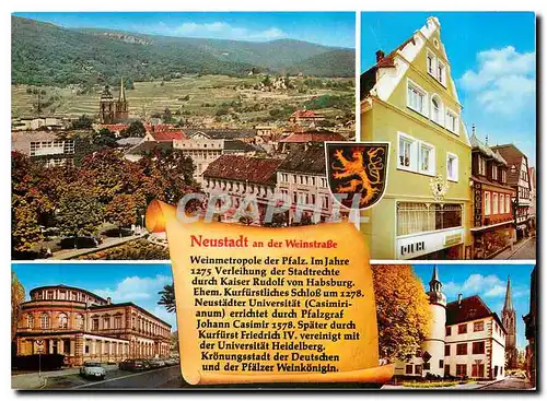 Cartes postales moderne Neustadt an der Deutschen Weinstrasse