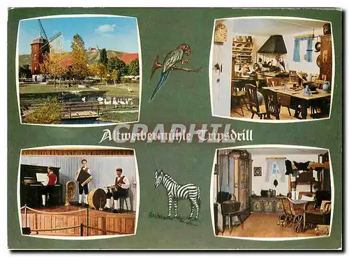 Cartes postales moderne Altweibermuhle Tripsdrill Cleebronn Zebre Moulin