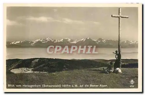 Cartes postales moderne Blick vom Herzogenhorn Schwarzwald auf die Berner Alpen