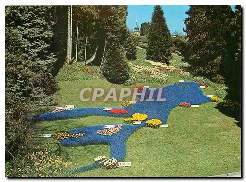 Cartes postales moderne Insel Mainau im Bodensee
