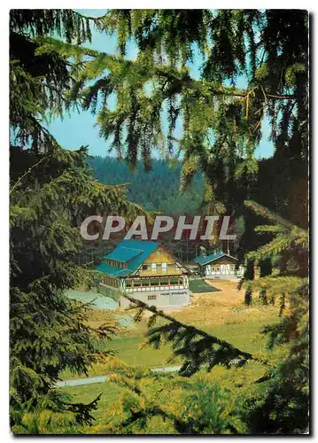 Cartes postales moderne Hotel Restaurant Wildpark Des Haus der speziellen Wildgerichte