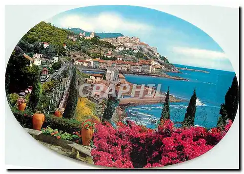 Cartes postales moderne Riviera del Flori Imperia Panorama from West