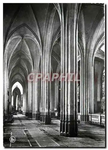 Cartes postales moderne Antwerpen Kathedraal Interieur Cote Sud