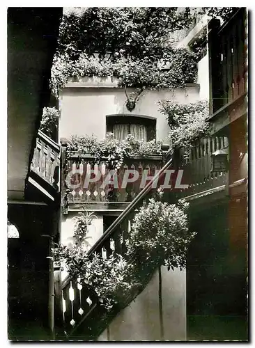 Cartes postales moderne Haf der historischen Brauerei Gaststatte Schlenkerla