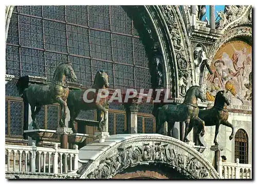 Cartes postales moderne Venezia Basilica di S Marco Les chevaux en bronze