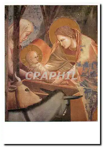 Moderne Karte Giotto Cappella degli Scrovegni Nativita di Gesu