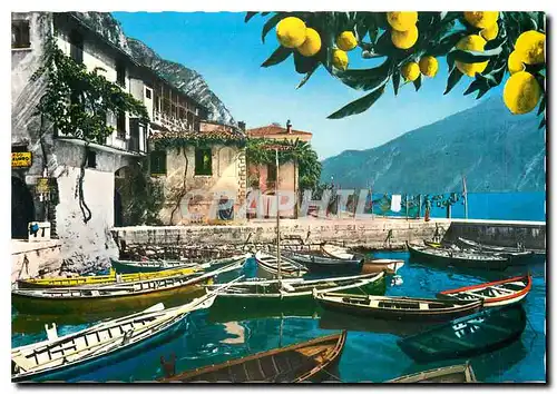 Cartes postales moderne Lac di Garda Limone Le Port