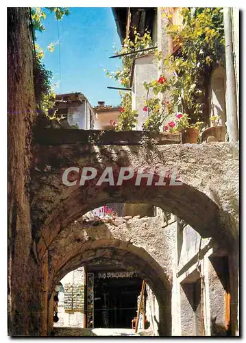 Cartes postales moderne Caracteristique sente du lac de Garda