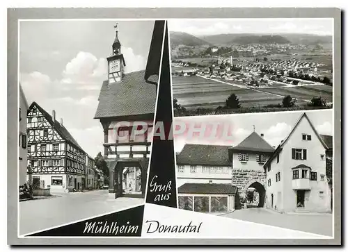 Cartes postales moderne Gruss aus Muhlheim Donautal