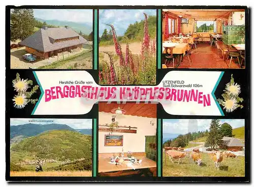 Cartes postales moderne Berggasthaus Knopflesbrunnen Schwarzwald