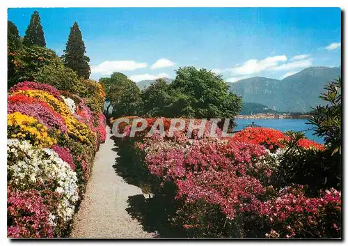 Cartes postales moderne Villa Carlotta Lac de Como Azalees
