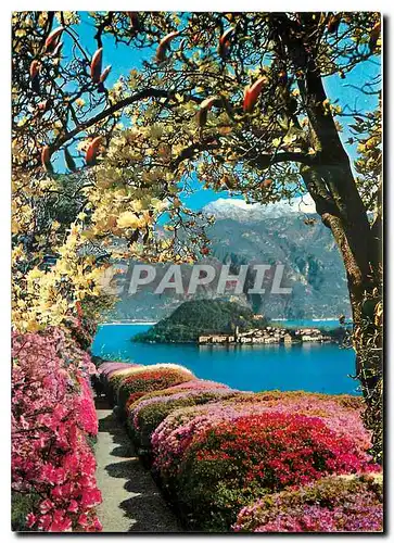 Cartes postales moderne Lago di Como Bellagio vu de Villa Carlotta