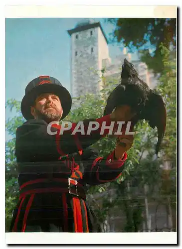 Cartes postales moderne La Tour de Londres Le Gardien des corbeaux avec un des corbeaux de la Tour